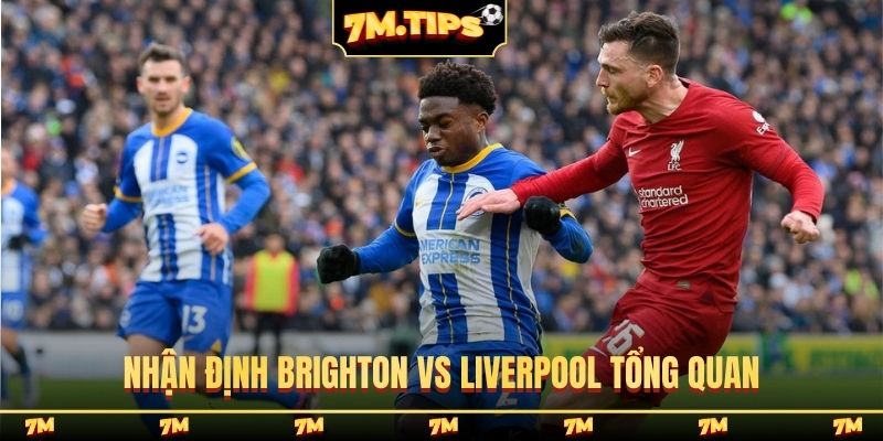 Nhận định Brighton vs Liverpool tổng quan